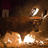 … cada año, se organizan en el estado español unas 16.000 fiestas populares en las que se utilizan animales?